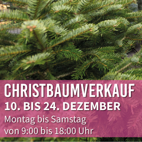 ES_2025-12_Advent Shopping_Christbaumstand