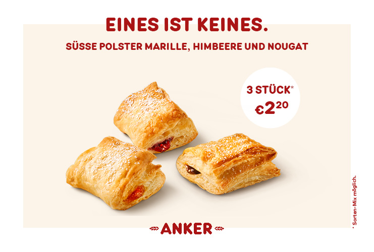 Aktionsplaner Website_Süße Polster